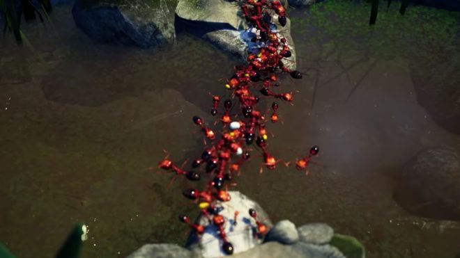 Empires of the Undergrowth