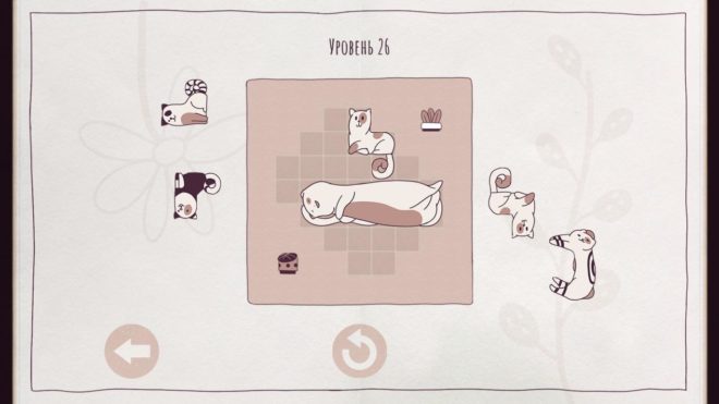 Cats Organized Neatly Cats Organized Neatly