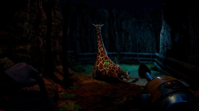 Zoochosis Zoochosis