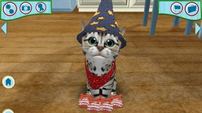 Catz 6 (2006) Catz 6 (2006)