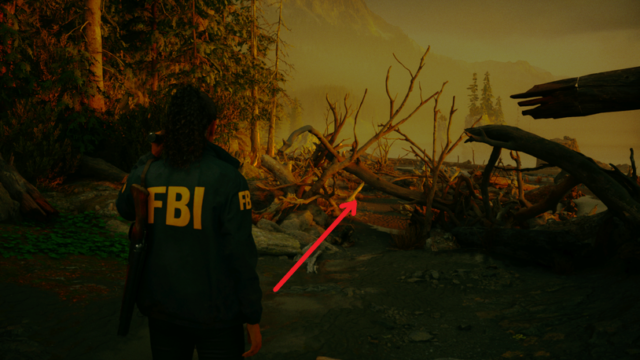 Тайник на пляже в Alan Wake 2 Тайник на пляже в Alan Wake 2