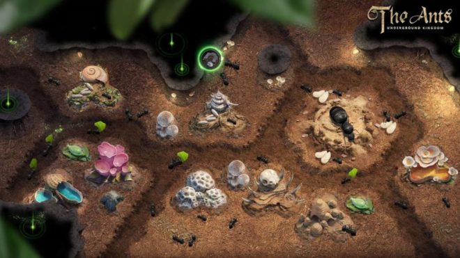 The Ants: Underground Kingdom The Ants: Underground Kingdom
