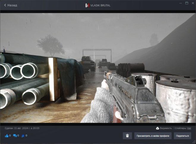 Как опубликовать скриншот в Steam Как опубликовать скриншот в Steam