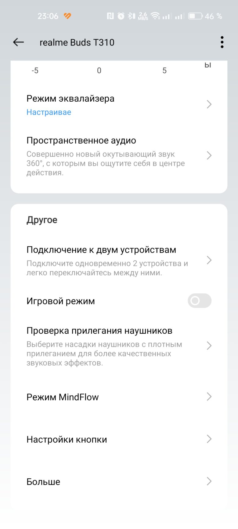 realme Buds T310
