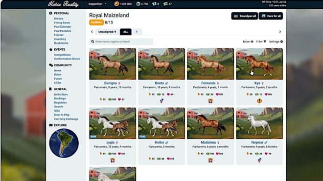 Horse Reality Horse Reality