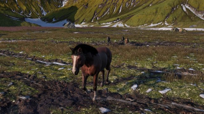 Horse Life Horse Life