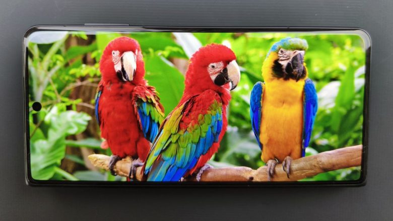 Обзор смартфона HONOR Magic V3