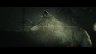 Как спасти волка в Until Dawn