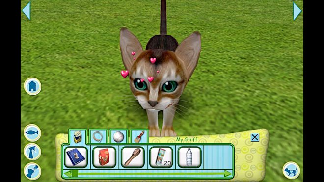 Catz Catz