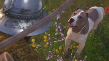 Гайд Kingdom Come: Deliverance — Как завести собаку