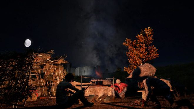 DayZ DayZ