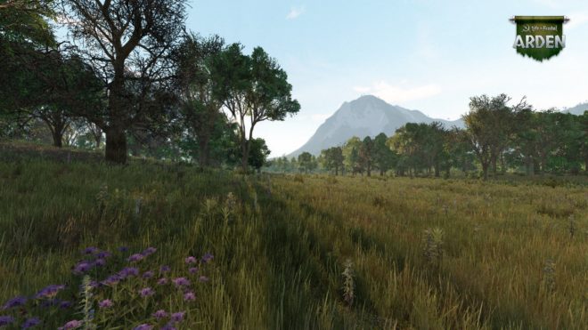 Life is Feudal: Arden