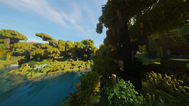 Round Trees Round Trees