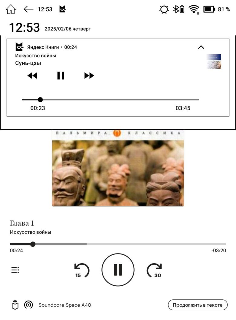 Обзор электронной книги «ОНИКС БУКС Дарвин 11»