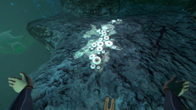 Subnautica Subnautica