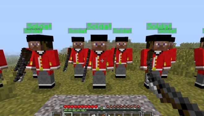 Custom NPCs Custom NPCs