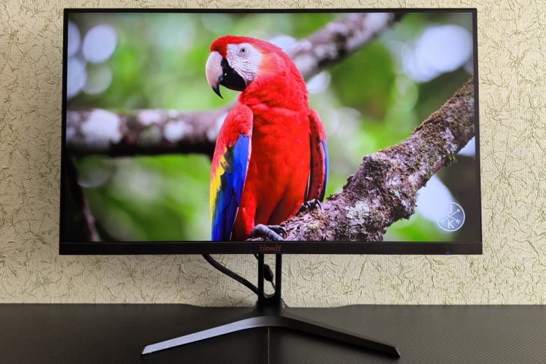 Bloody MN240F
