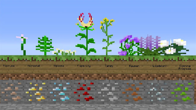 2. Ore Flowers 2. Ore Flowers