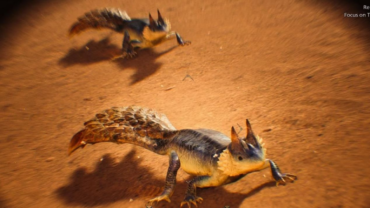 Monster Hunter Wilds