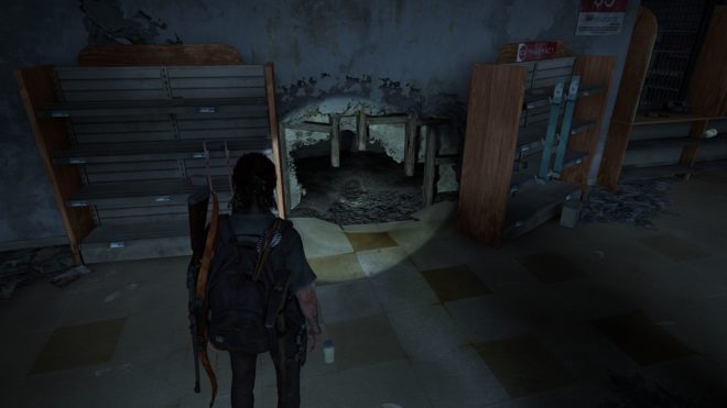 The Last of Us: Part 2 Remastered The Last of Us: Part 2 Remastered