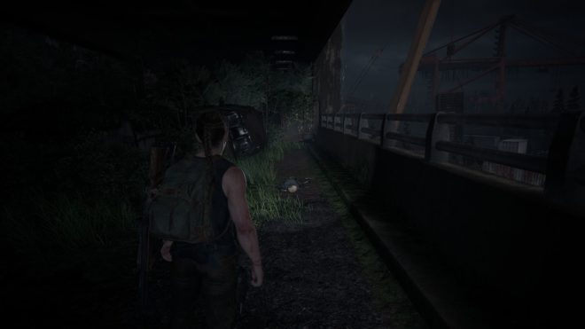 The Last of Us: Part 2 Remastered