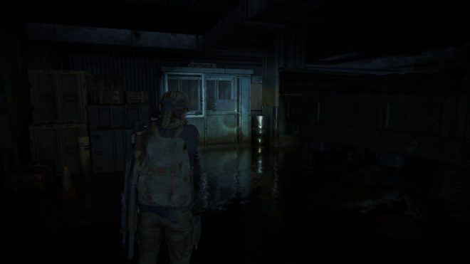 The Last of Us: Part 2 Remastered