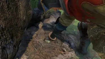 Гайд Kingdom Come: Deliverance II — «Светотень». Как найти яйцо василиска