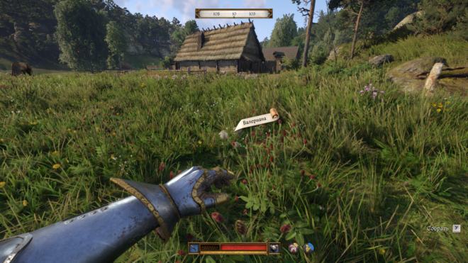 Как найти валериану в Kingdom Come: Deliverance II Как найти валериану в Kingdom Come: Deliverance II
