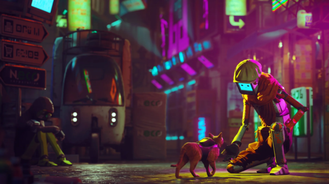 Stray Stray