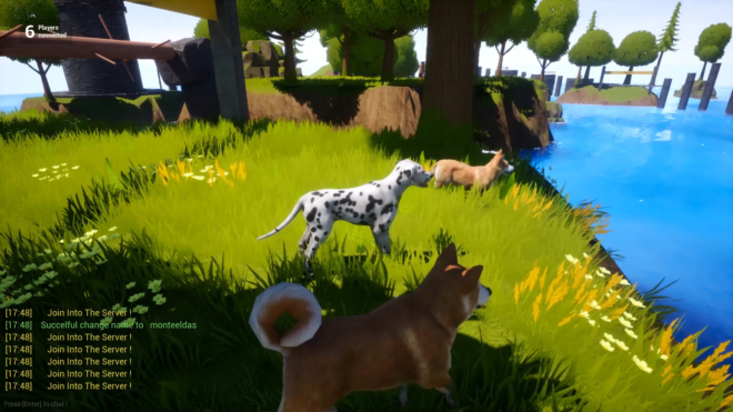 Dogs Club Dogs Club