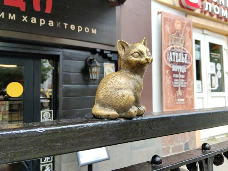 Основная камера