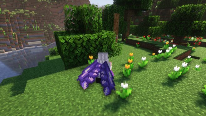 Amethyst Wings Amethyst Wings