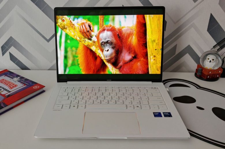 HONOR MagicBook Pro 14 (2025)