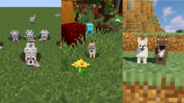 Лучшие моды на собак в Minecraft