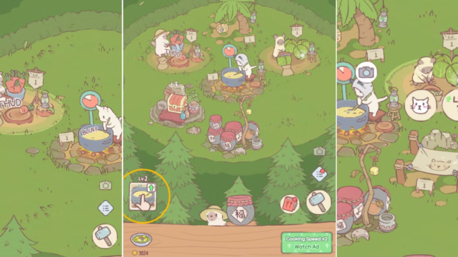 Cats & Soup Cats & Soup