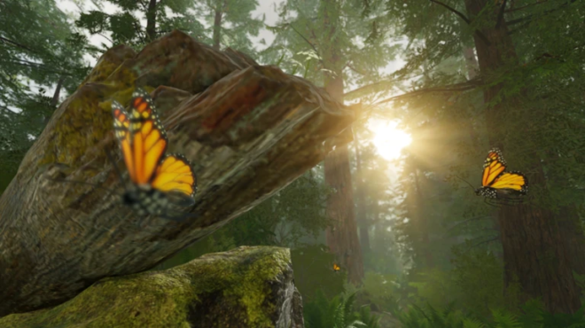 Realistic Forest Realistic Forest