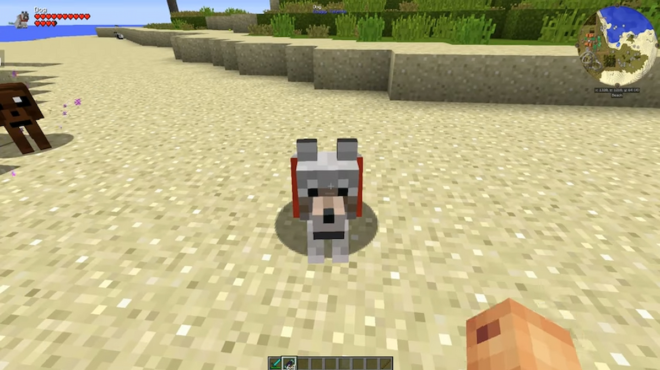 Dogpack Dogpack