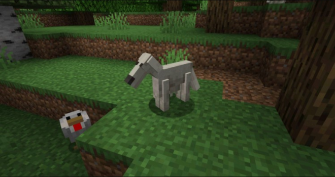 Borzoi Dogs Borzoi Dogs