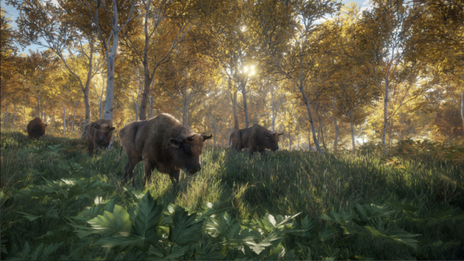 theHunter: Call of the Wild (2017) theHunter: Call of the Wild (2017)