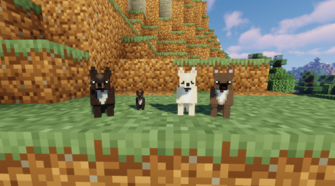More Dogs More Dogs