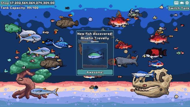 Chillquarium Chillquarium