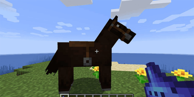 Dude, Where’s My Horse? Dude, Where’s My Horse?