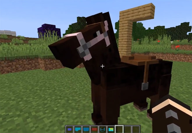 Horse Tack Horse Tack