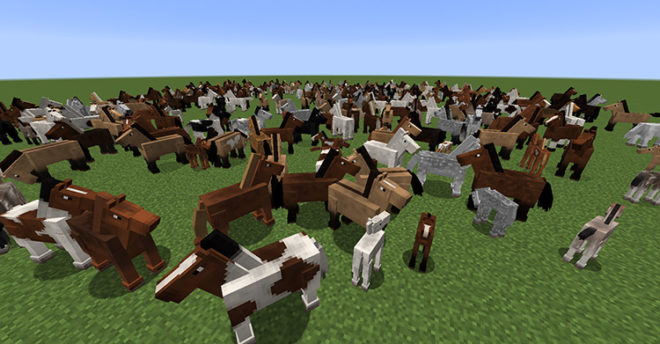 Realistic Horse Genetics Realistic Horse Genetics