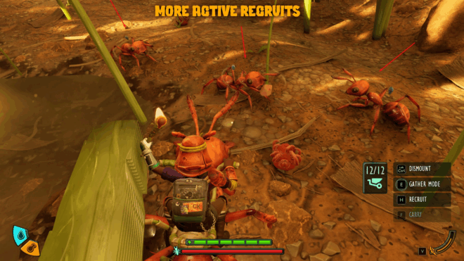 Better Buggies Better Buggies