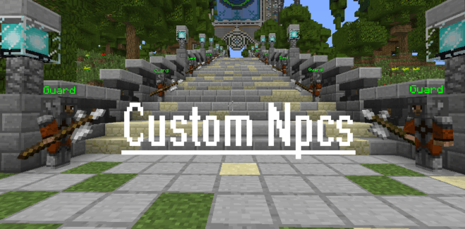 Custom NPCs Custom NPCs