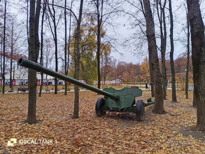 Основная камера