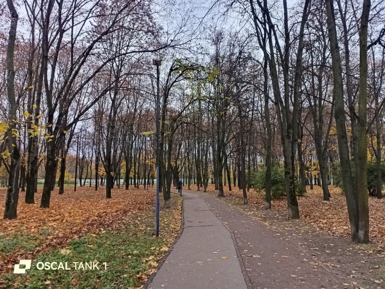 Основная камера