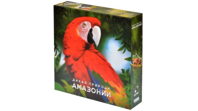 Дикая природа Амазонии Дикая природа Амазонии