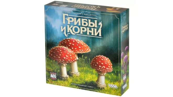 Грибы и корни Грибы и корни